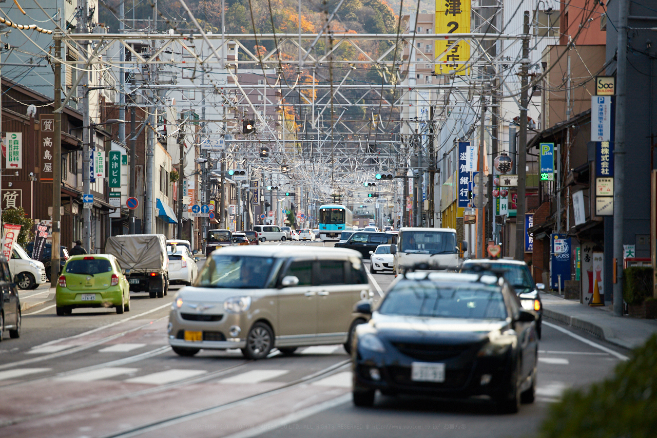 https://www.yaotomi.co.jp/blog/walk/IMG_8981_200%20mm%28F2.8%29iso800_2018yaotomi.jpg