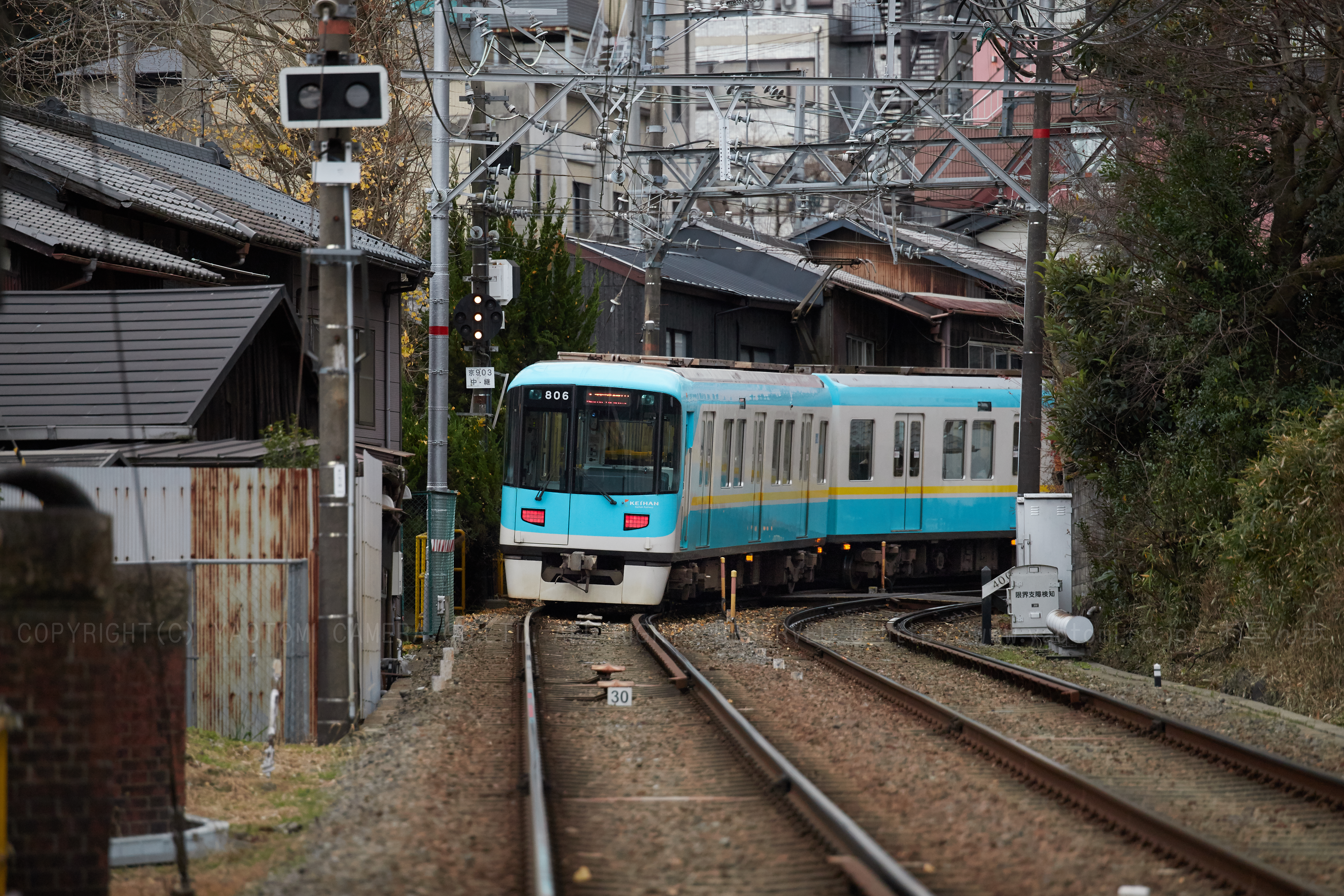 https://www.yaotomi.co.jp/blog/walk/IMG_9154_200%20mm%28F2.8%29iso800_2018yaotomi%201.jpg