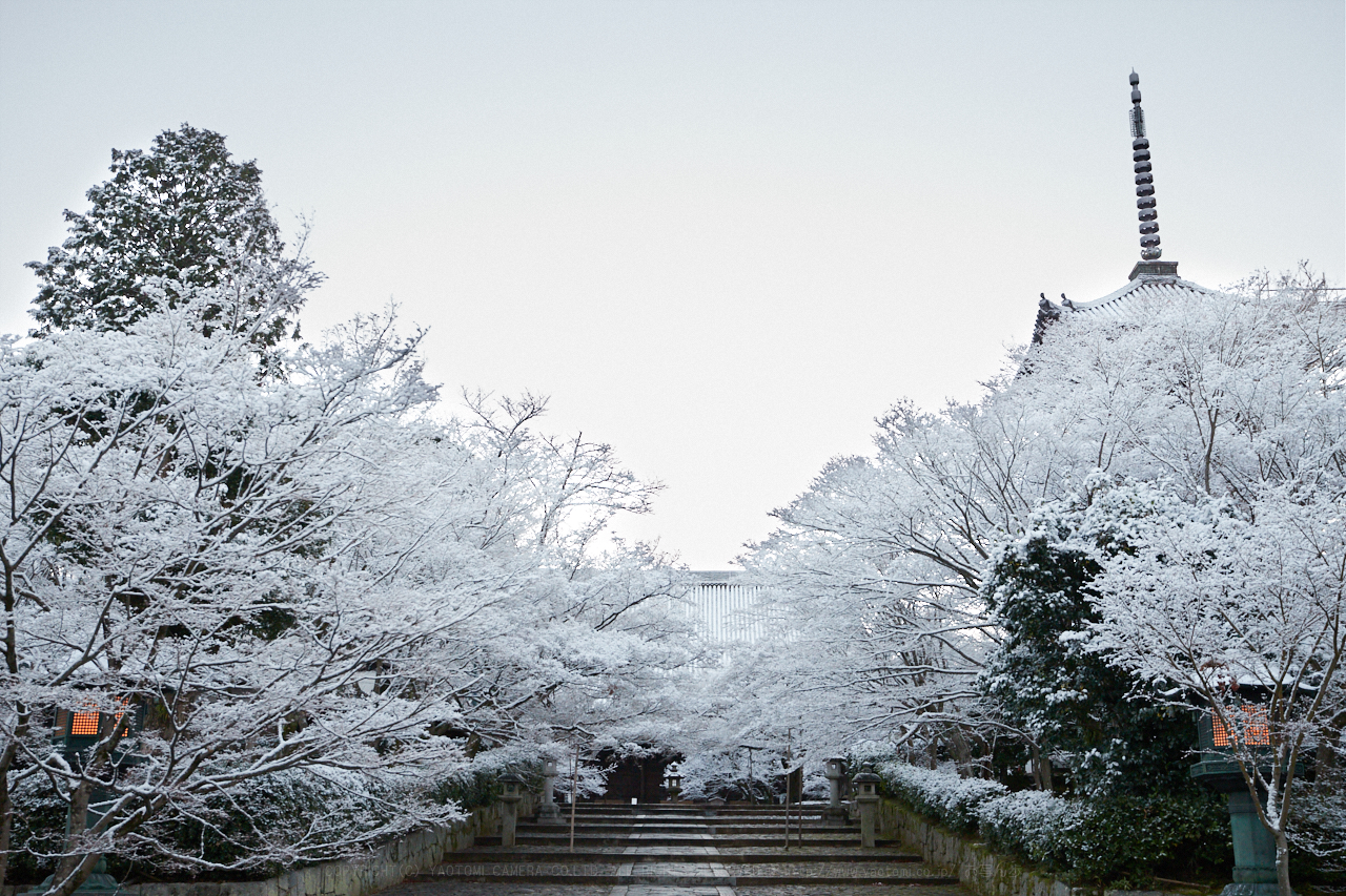 https://www.yaotomi.co.jp/blog/walk/IMG_9460_44%20mm%28F5%29iso1600_2018yaotomi%202.jpg