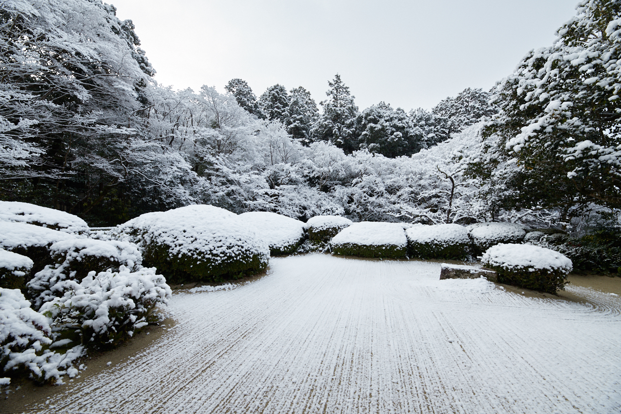 https://www.yaotomi.co.jp/blog/walk/IMG_9686_14%20mm%28F10%29iso200_2018yaotomi.jpg