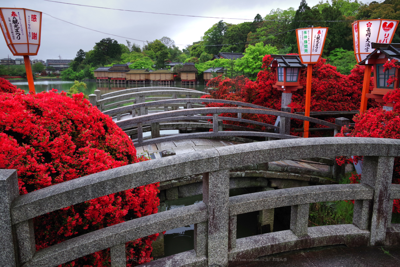 https://www.yaotomi.co.jp/blog/walk/K1II0978_28%20mm%28F16%29iso800_2018yaotomi.jpg