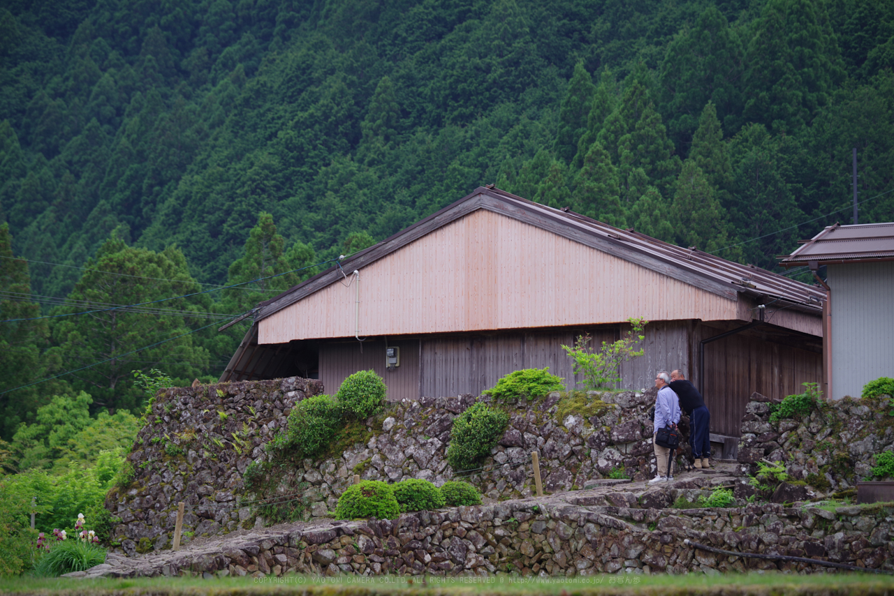 https://www.yaotomi.co.jp/blog/walk/K1II2722_115%20mm%28F4%29iso100_2018yaotomi.jpg