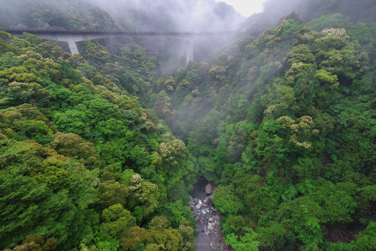 https://www.yaotomi.co.jp/blog/walk/K1II2752_15%20mm%28F9%29iso100_2018yaotomi.jpg