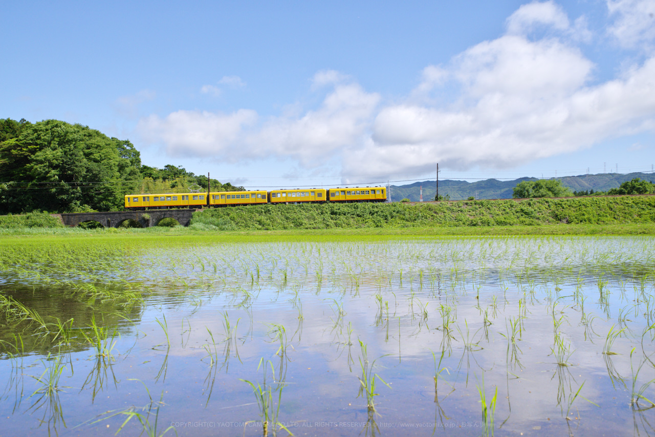 https://www.yaotomi.co.jp/blog/walk/K1II3453%2C33%20mm%2CF9_iso800_2018yaotomi.jpg