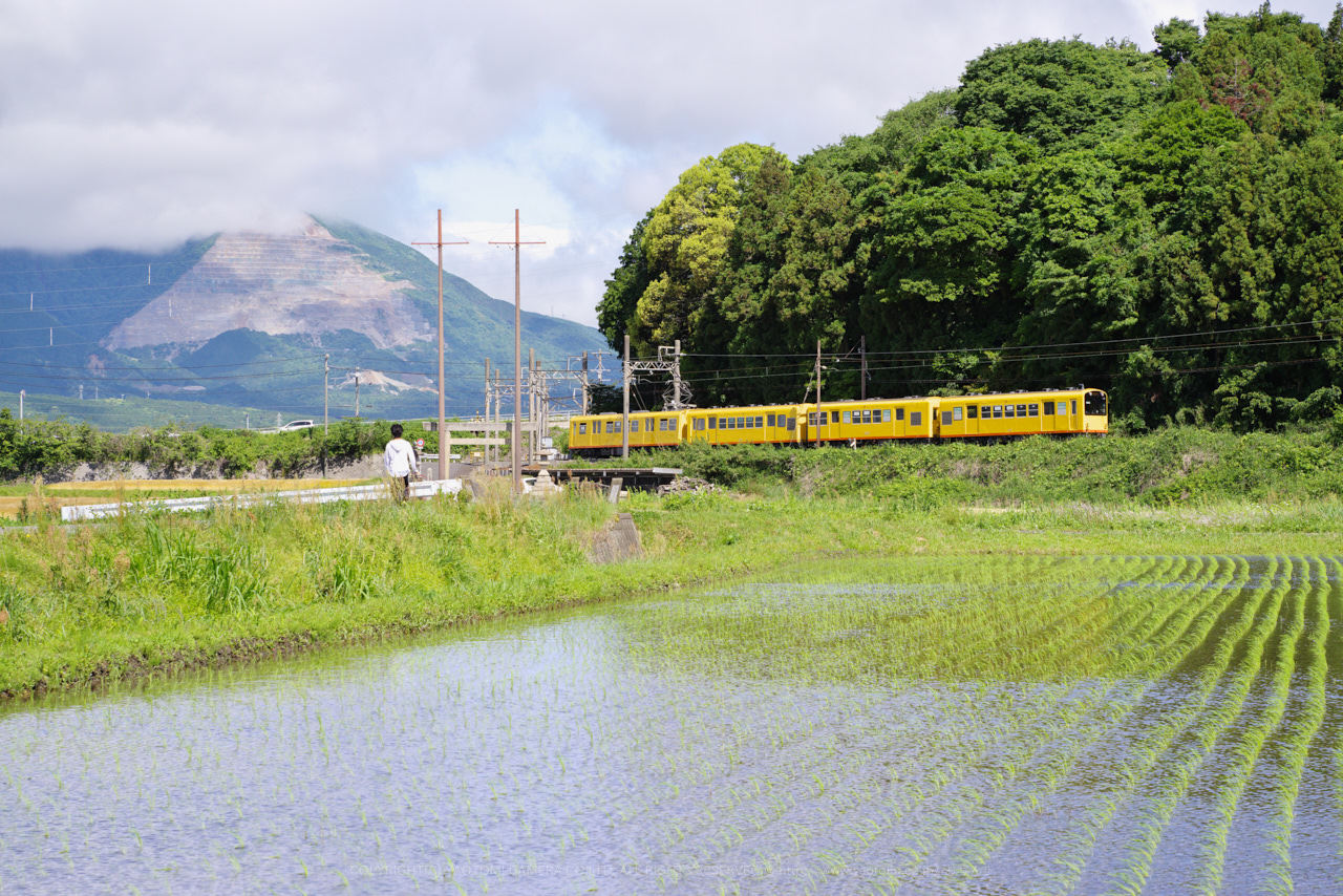 https://www.yaotomi.co.jp/blog/walk/K1II3467%2C70%20mm%2CF9_iso800_2018yaotomi.jpg