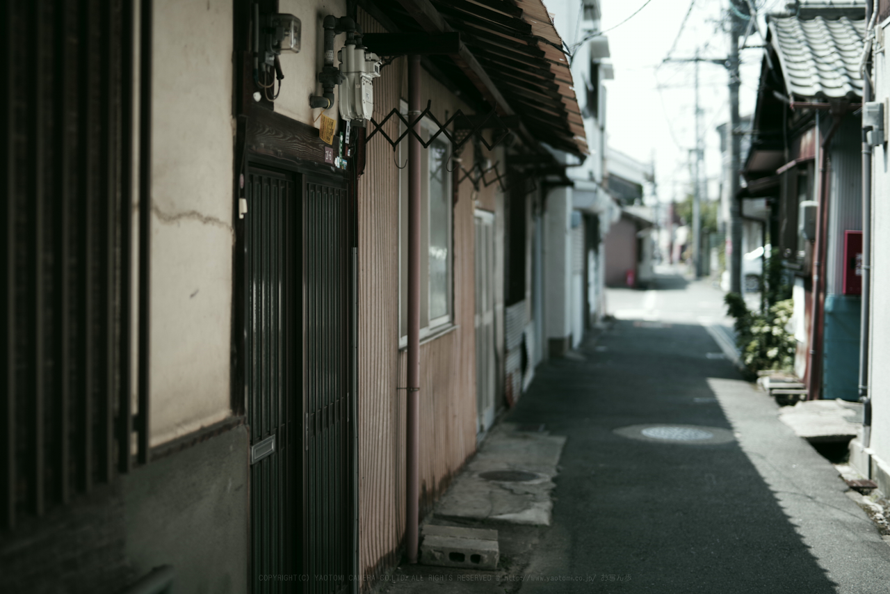 https://www.yaotomi.co.jp/blog/walk/K1II3619_50%20mm%28F1.4%29iso100_2018yaotomi.jpg