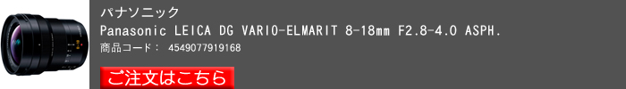 LEICA-DG-VARIO-ELMARIT-8-18mm-F2,8-4,0-ASPH.jpg