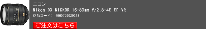 Nikon-DX-NIKKOR-16_80mm-f2.8-4E-ED-VR.jpg