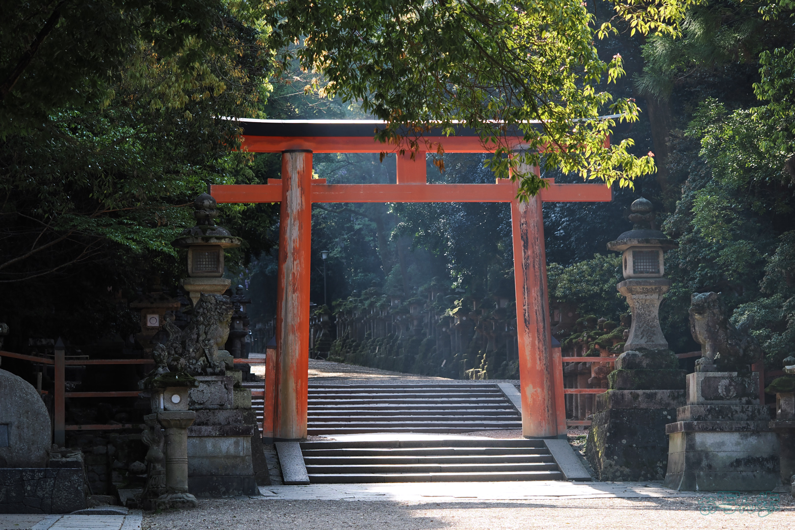 https://www.yaotomi.co.jp/blog/walk/OM3A0044%2C60%20mm%2CF3.5%2C1-320%20%E7%A7%92%2Ciso200%28JPEG%29.jpg