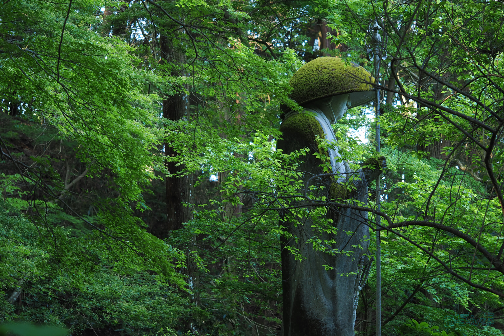 https://www.yaotomi.co.jp/blog/walk/OM3A0284%2C60%20mm%2CF2.8%2C1-60%20%E7%A7%92%2Ciso320%28JPEG%29.jpg