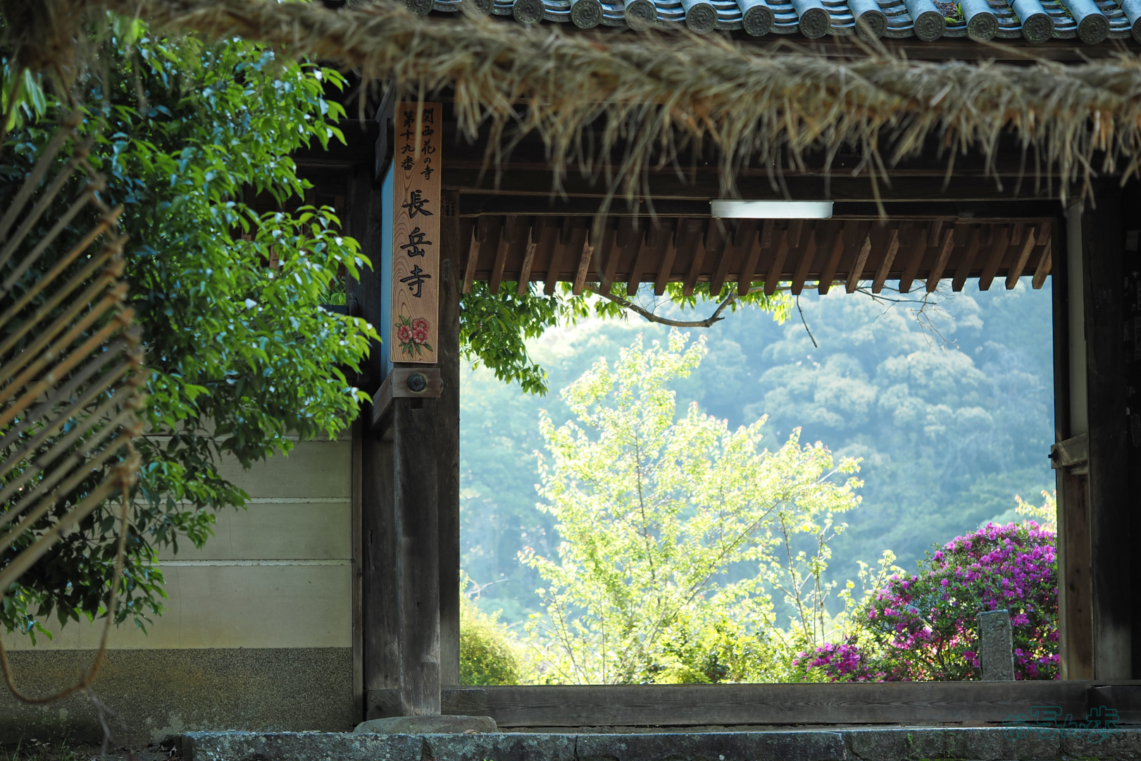 https://www.yaotomi.co.jp/blog/walk/OM3A0456%2C60%20mm%2CF2.8%2C1-250%20%E7%A7%92%2Ciso200%28JPEG%29.jpg