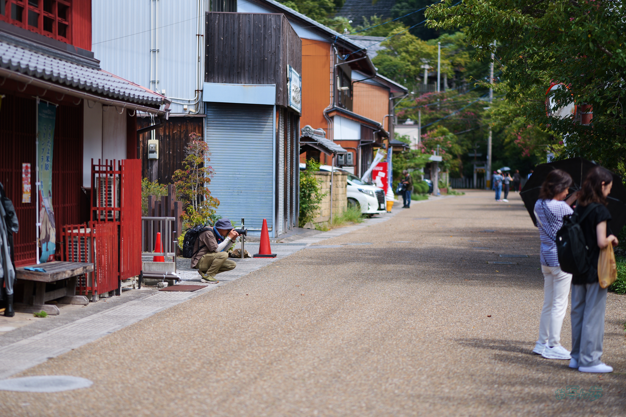 https://www.yaotomi.co.jp/blog/walk/P1002371co%2C85%20mm%2CF2%2C1-2000%20%E7%A7%92%2Ciso100%2CLUMIX%20S%2085-F1.8.jpg
