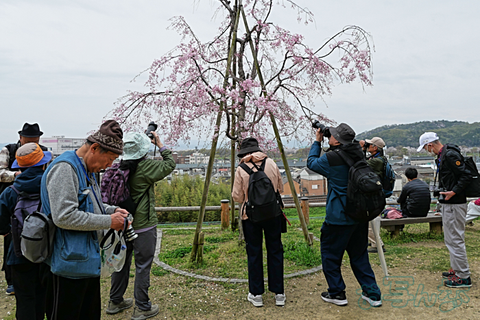 P1012460,12 mm,F5.6,iso200_1-320 秒(JPEG).jpg