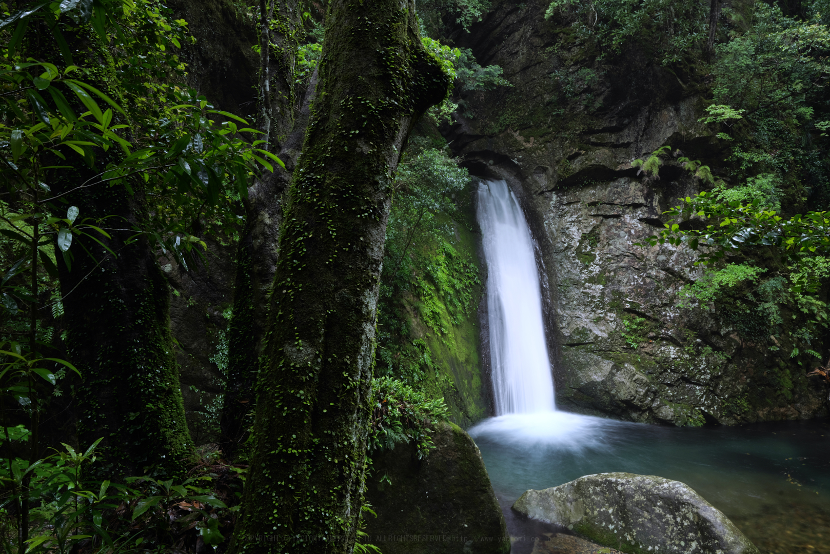 https://www.yaotomi.co.jp/blog/walk/P1013849_24mmF20iso100%2C24%20mm%2CF20%2Ciso100.jpg