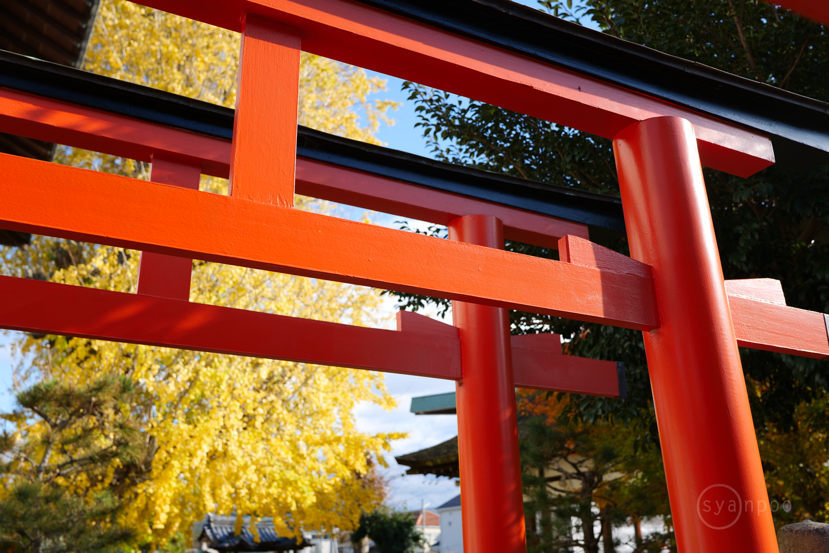 https://www.yaotomi.co.jp/blog/walk/P1022171%2C35%20mm%2CF5.6%2Ciso100%28JPEG%29.jpg