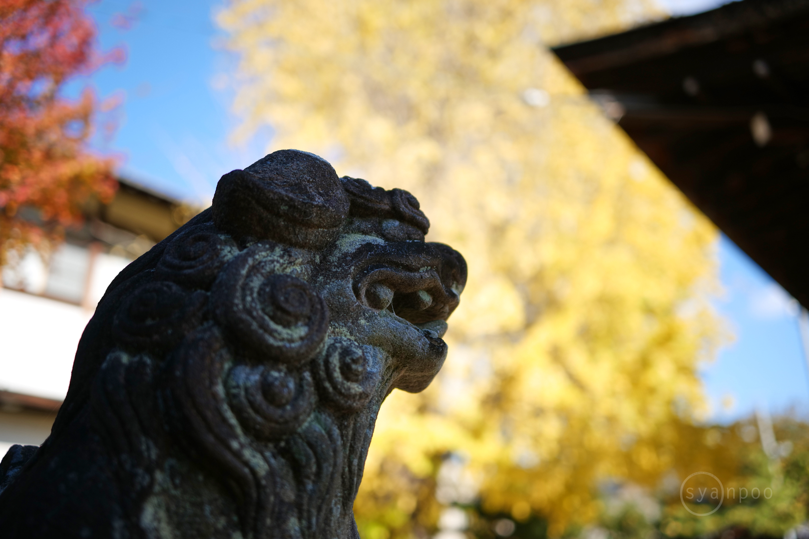 https://www.yaotomi.co.jp/blog/walk/P1022220%2C35%20mm%2CF1.8%2Ciso100%28JPEG%29.jpg