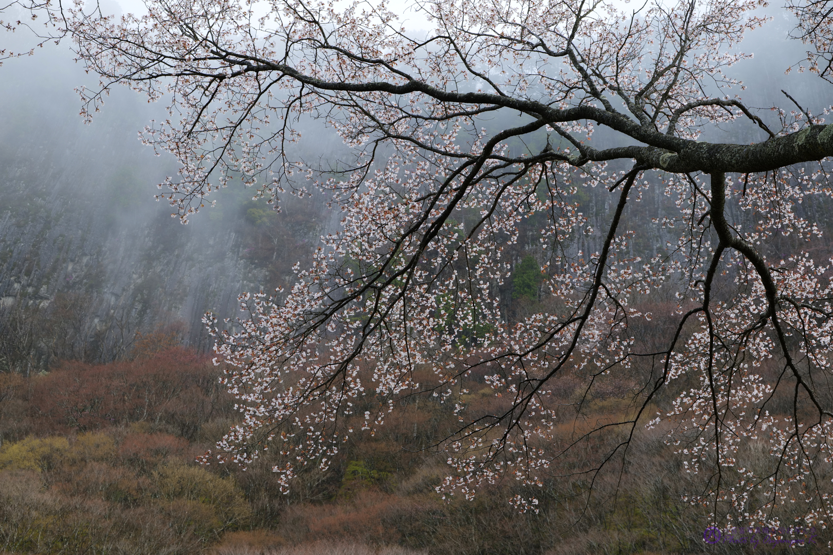 https://www.yaotomi.co.jp/blog/walk/P1041007%2C70%20mm%2CF10%2Ciso100.jpg