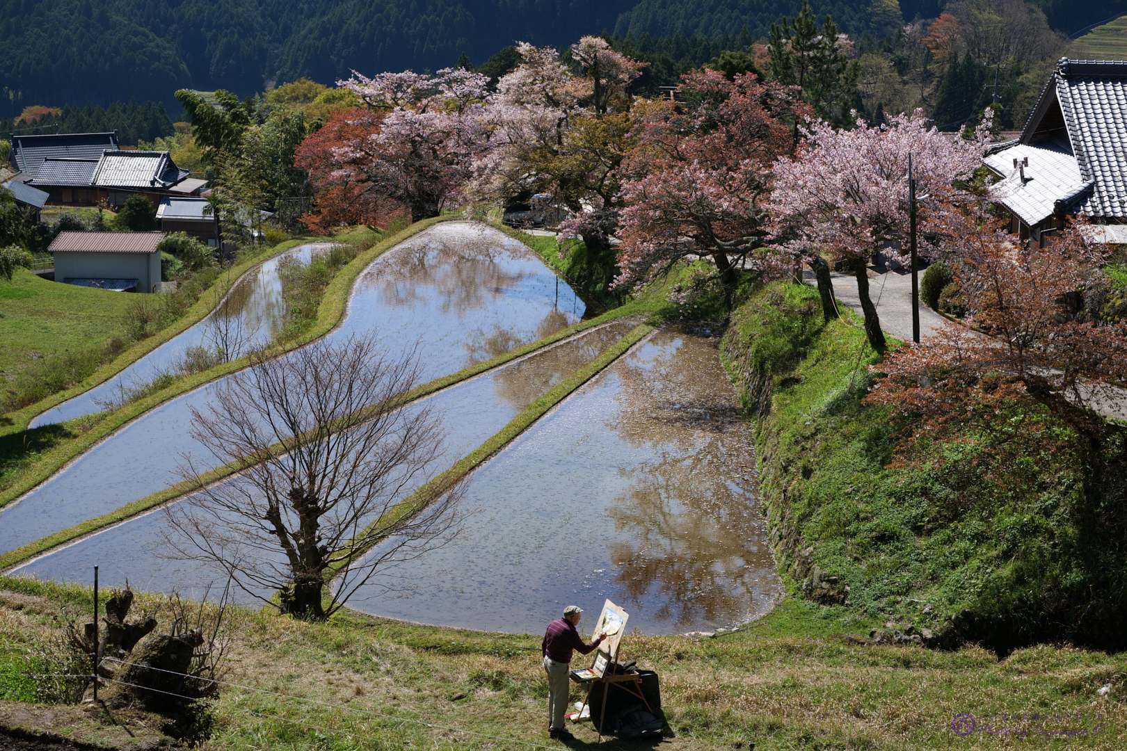 https://www.yaotomi.co.jp/blog/walk/P1041439%2C74%20mm%2CF10%2Ciso400.jpg