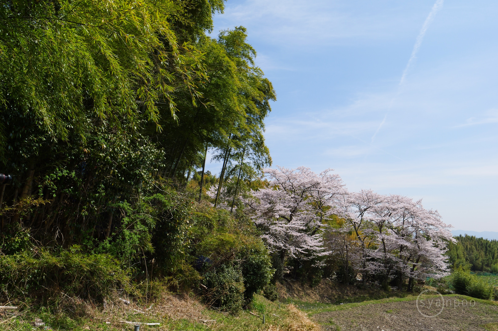 https://www.yaotomi.co.jp/blog/walk/P1052331%2C12%20mm%2CF9%2Ciso100%28JPEG%29.jpg