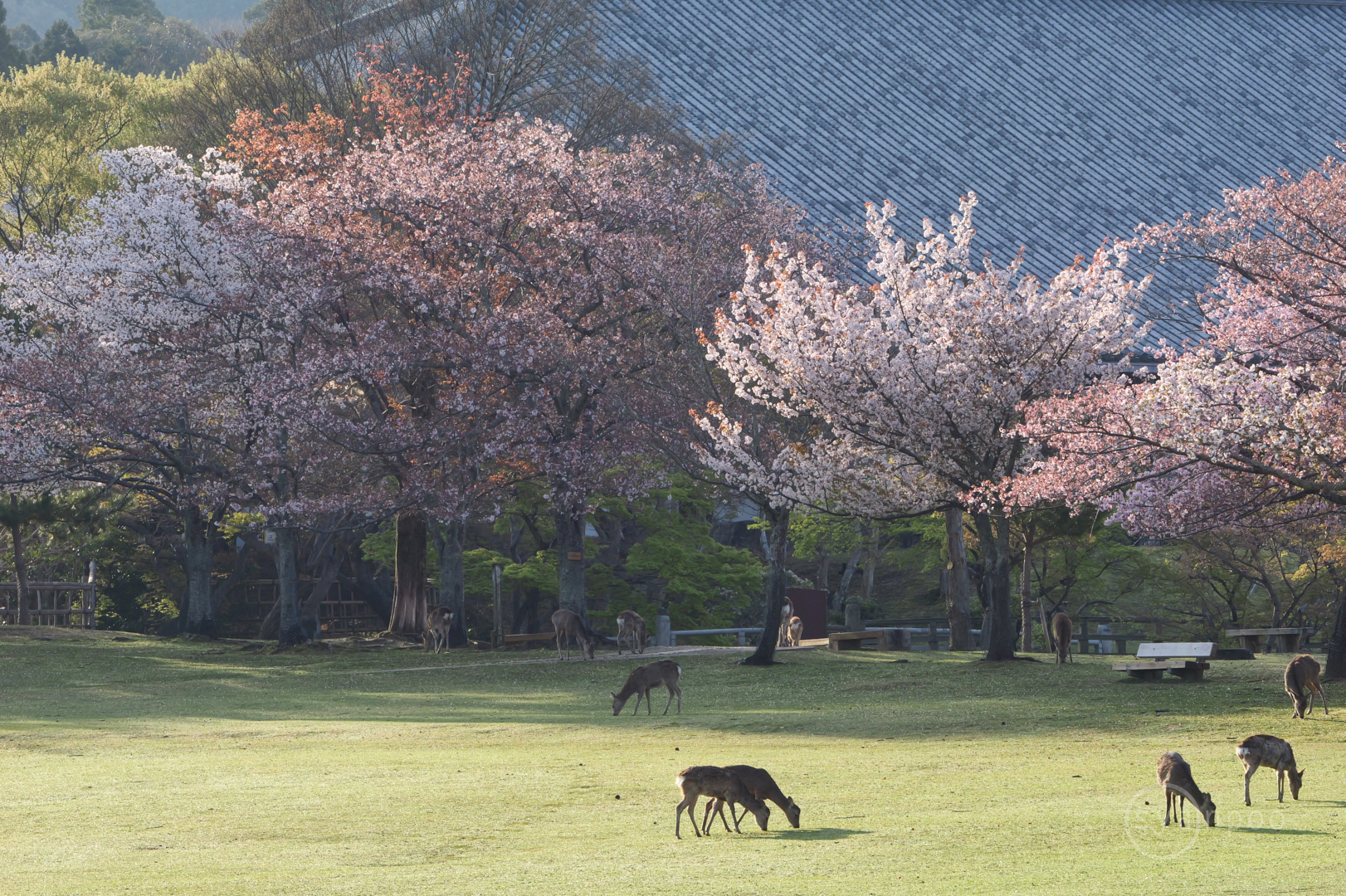 https://www.yaotomi.co.jp/blog/walk/P1063681%2C133%20mm%2CF9%2Ciso500%28JPEG%29.jpg