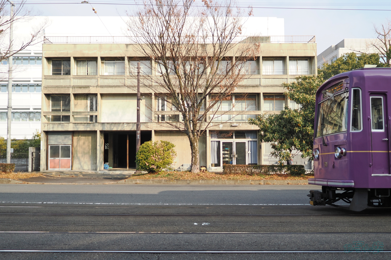 https://www.yaotomi.co.jp/blog/walk/P2010218%2C17%20mm%2CF1.8%2C1-4000%20%E7%A7%92%2Ciso200%28JPEG%29.jpg