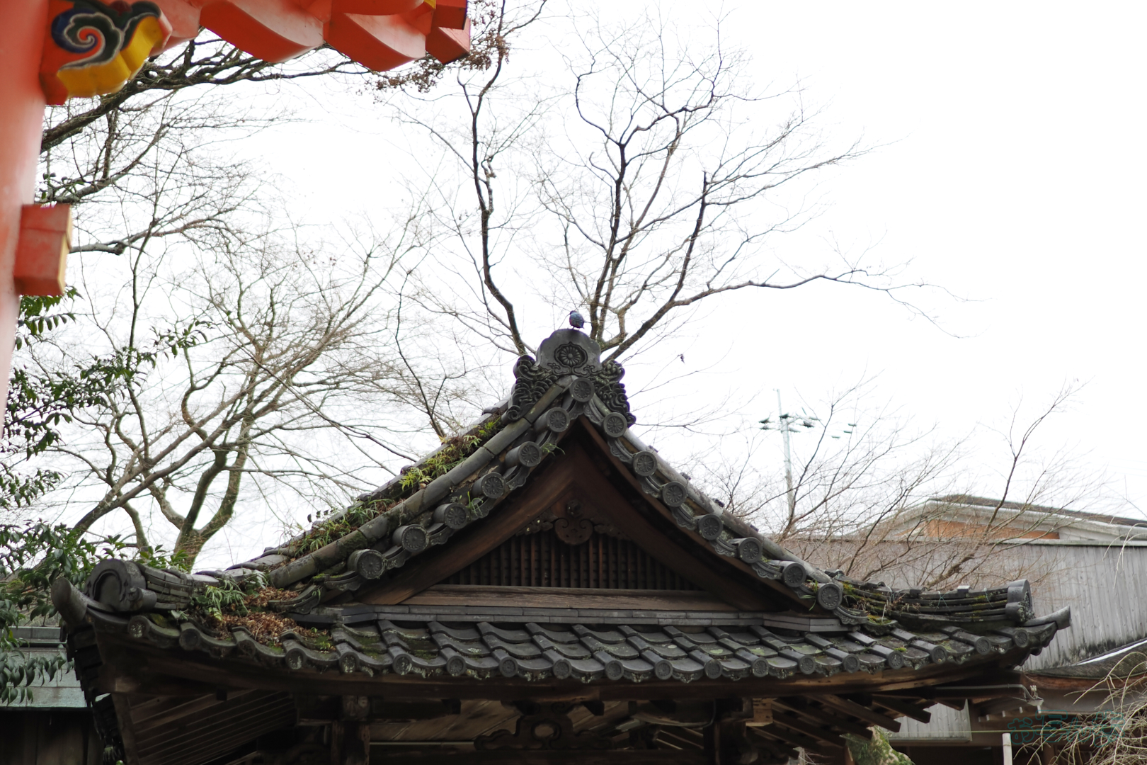 https://www.yaotomi.co.jp/blog/walk/P2120117%2C20%20mm%2CF1.4%2C1-1600%20%E7%A7%92%2Ciso200%28JPEG%29.jpg