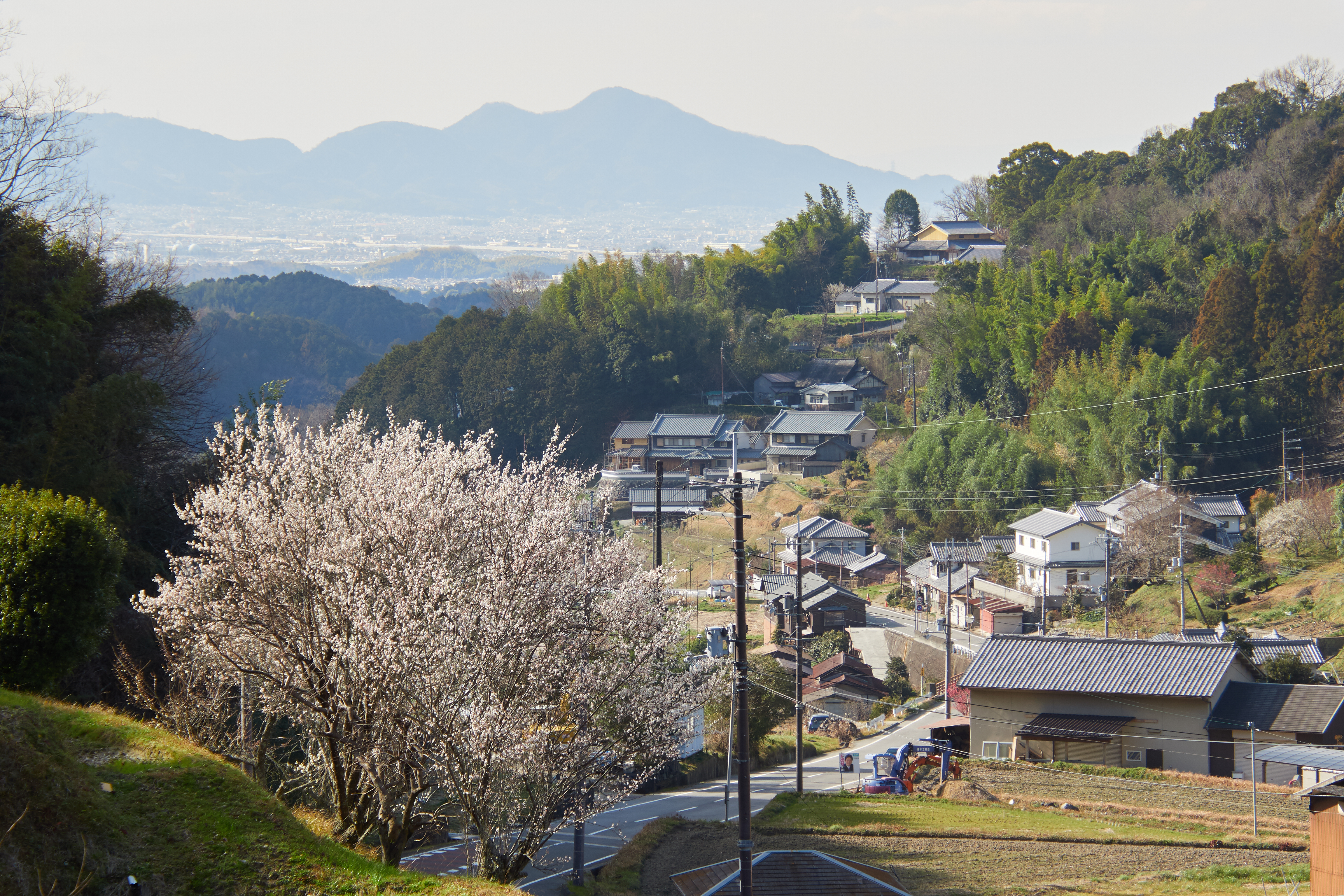 https://www.yaotomi.co.jp/blog/walk/P2230762%2C63%20mm%2CF8%2C1-200%20%E7%A7%92%2Ciso200.jpg