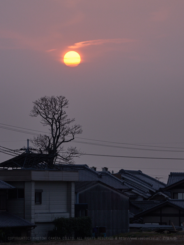 P2240617_100 mm_F5.6_2018yaotomi.jpg