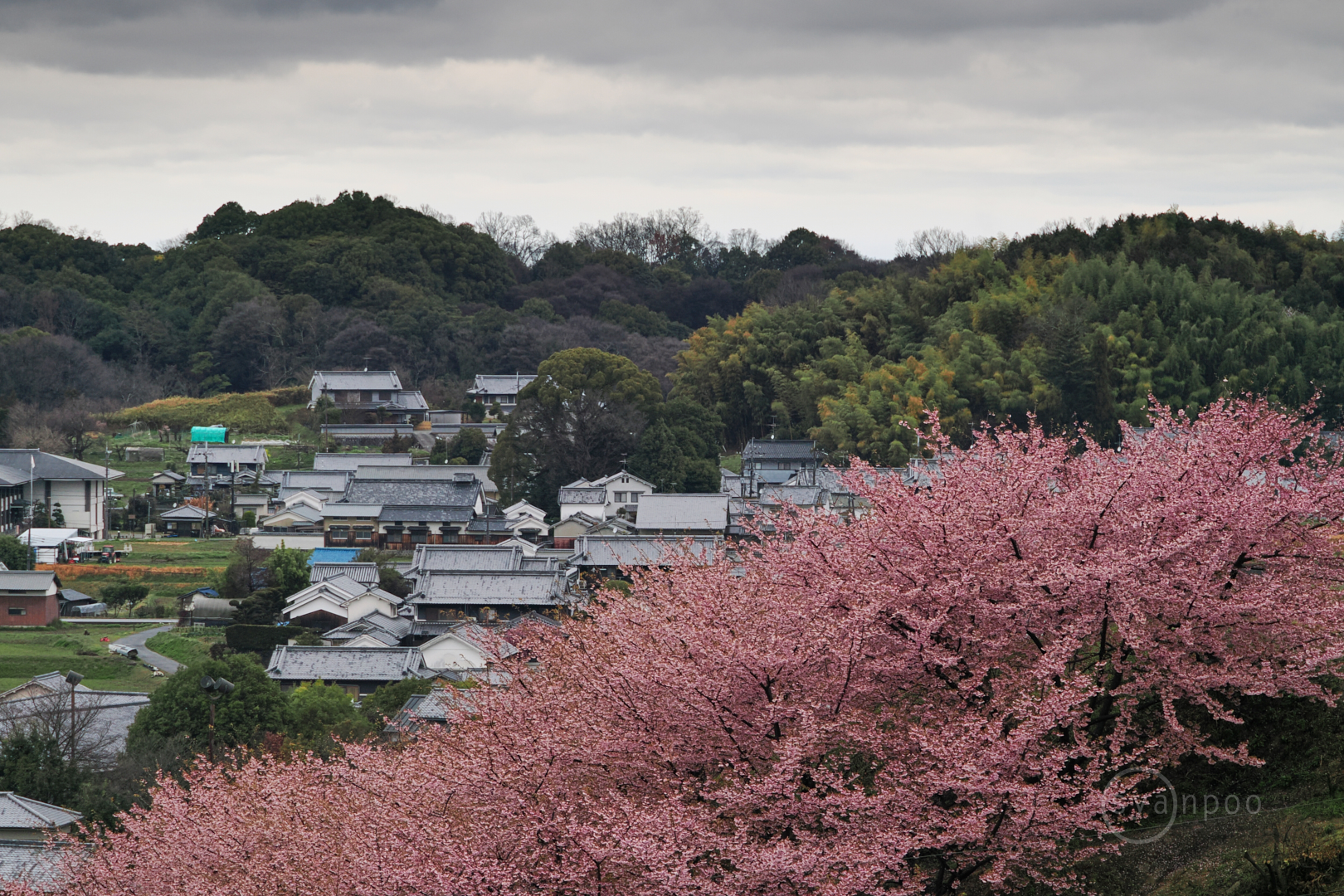 https://www.yaotomi.co.jp/blog/walk/P3060001%2C90%20mm%2CF4%2Ciso640%28JPEG%29.jpg