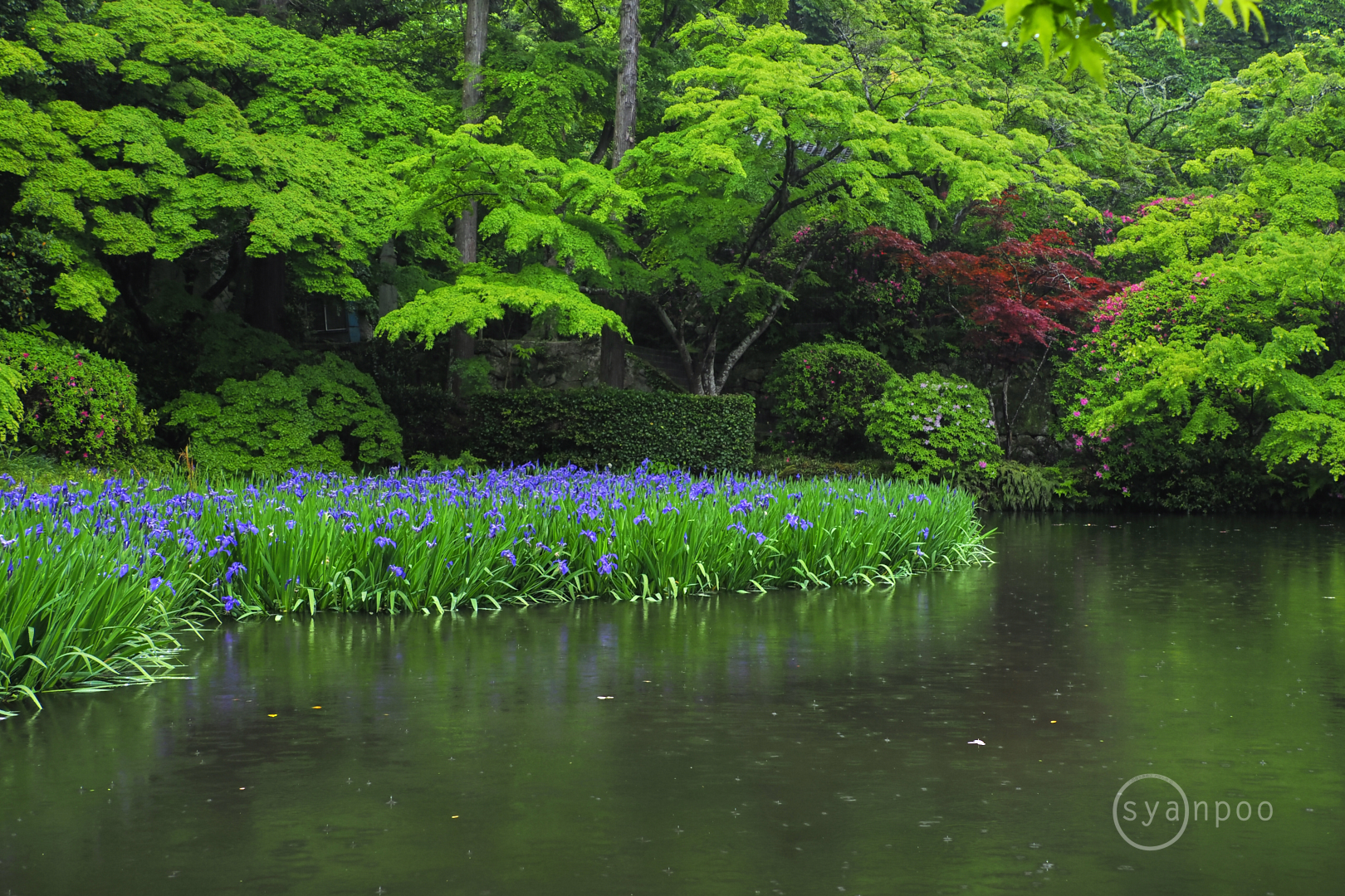 https://www.yaotomi.co.jp/blog/walk/P5012848%2C23%20mm%2CF6.3%2Ciso320%28JPEG%29.jpg