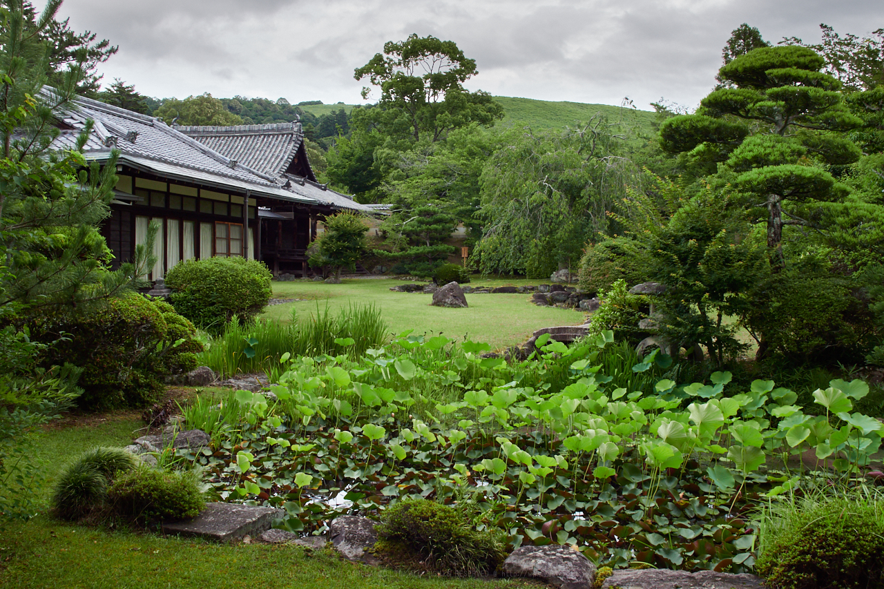 https://www.yaotomi.co.jp/blog/walk/P7040033_17%20mm%28F8%29iso200_2018yaotomi.jpg