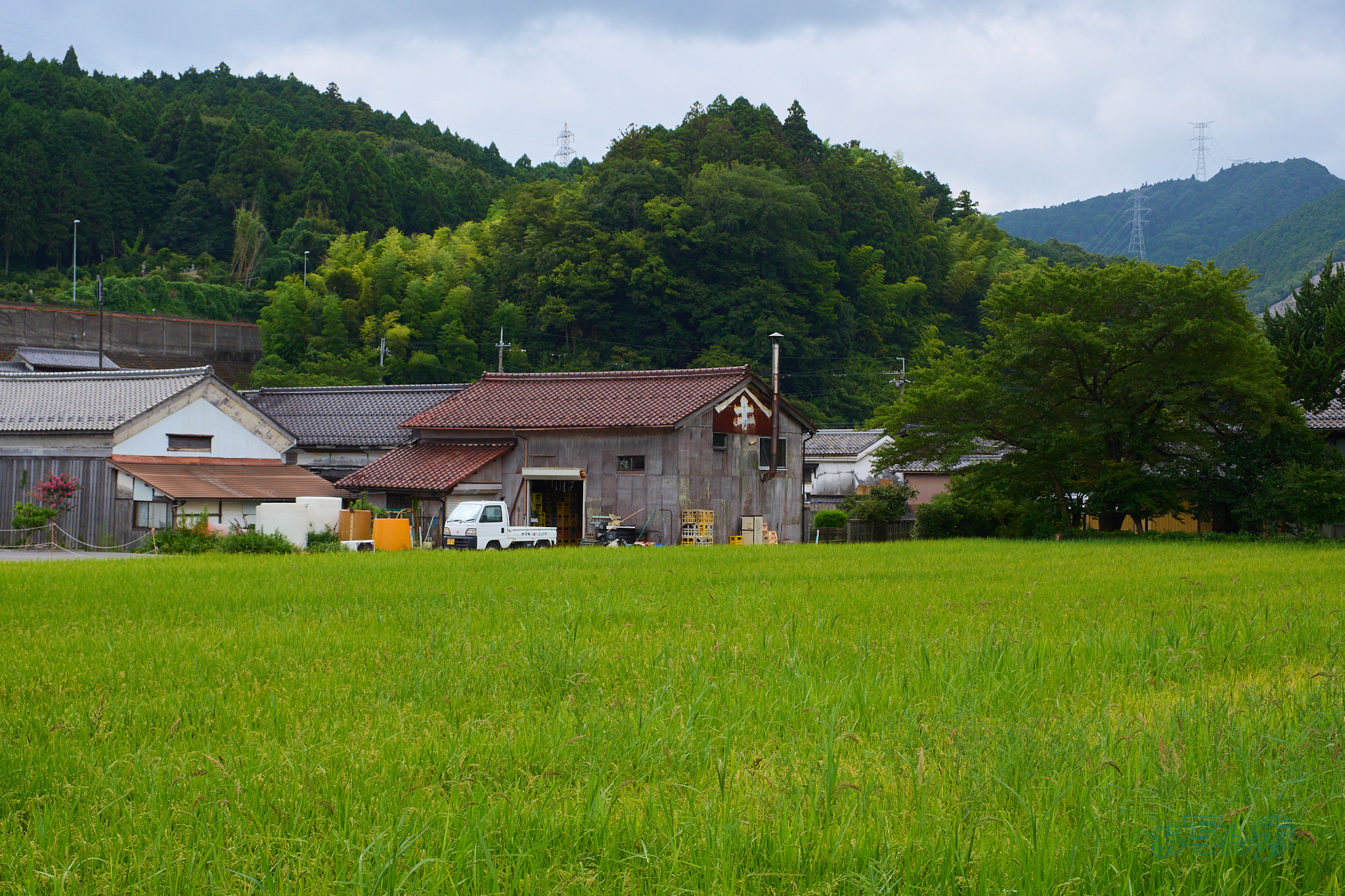 https://www.yaotomi.co.jp/blog/walk/P8080058co%2C28%20mm%2CF6.3%2Ciso200%2COM%2012-45mm%20F4.0.jpg