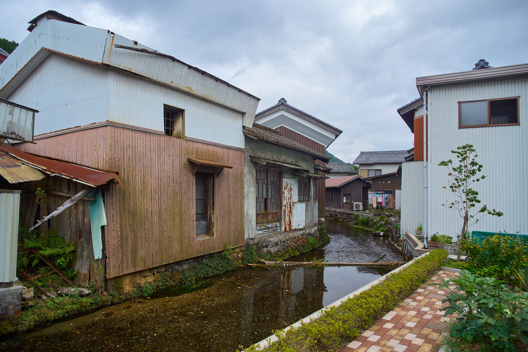 https://www.yaotomi.co.jp/blog/walk/P8080212co%2C12%20mm%2CF4%2Ciso200%2COM%2012-45mm%20F4.0.jpg