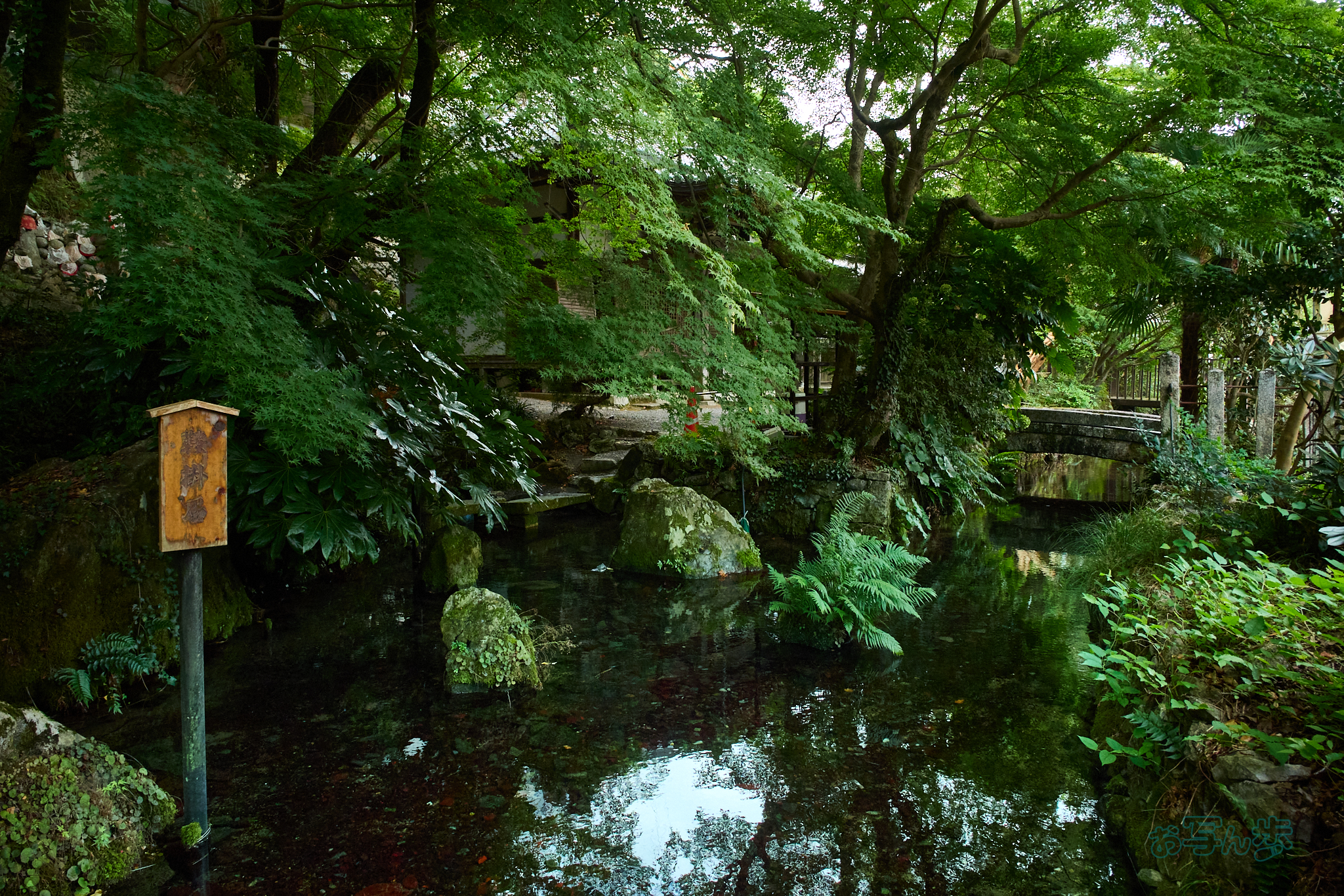 https://www.yaotomi.co.jp/blog/walk/P8080304co%2C12%20mm%2CF6.3%2Ciso1600%2COM%2012-45mm%20F4.0.jpg