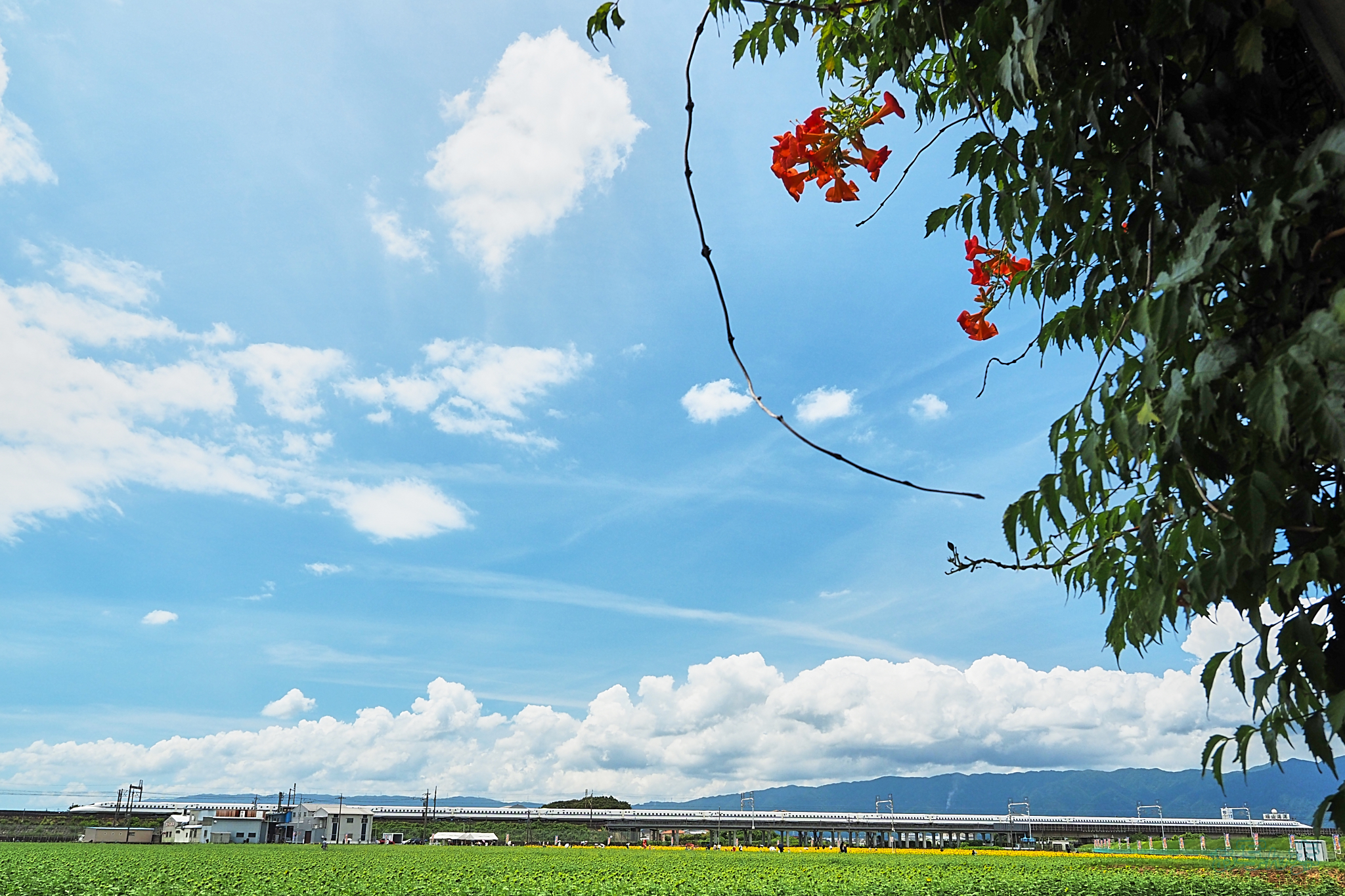 https://www.yaotomi.co.jp/blog/walk/P8080339%2CF6.3%2C1-320%20%E7%A7%92%2Ciso200_OM%2012-45mm%20F4.0%20%20%20%20%20%20%20%20%20%20%20%20%20%20%20%20%20.jpg