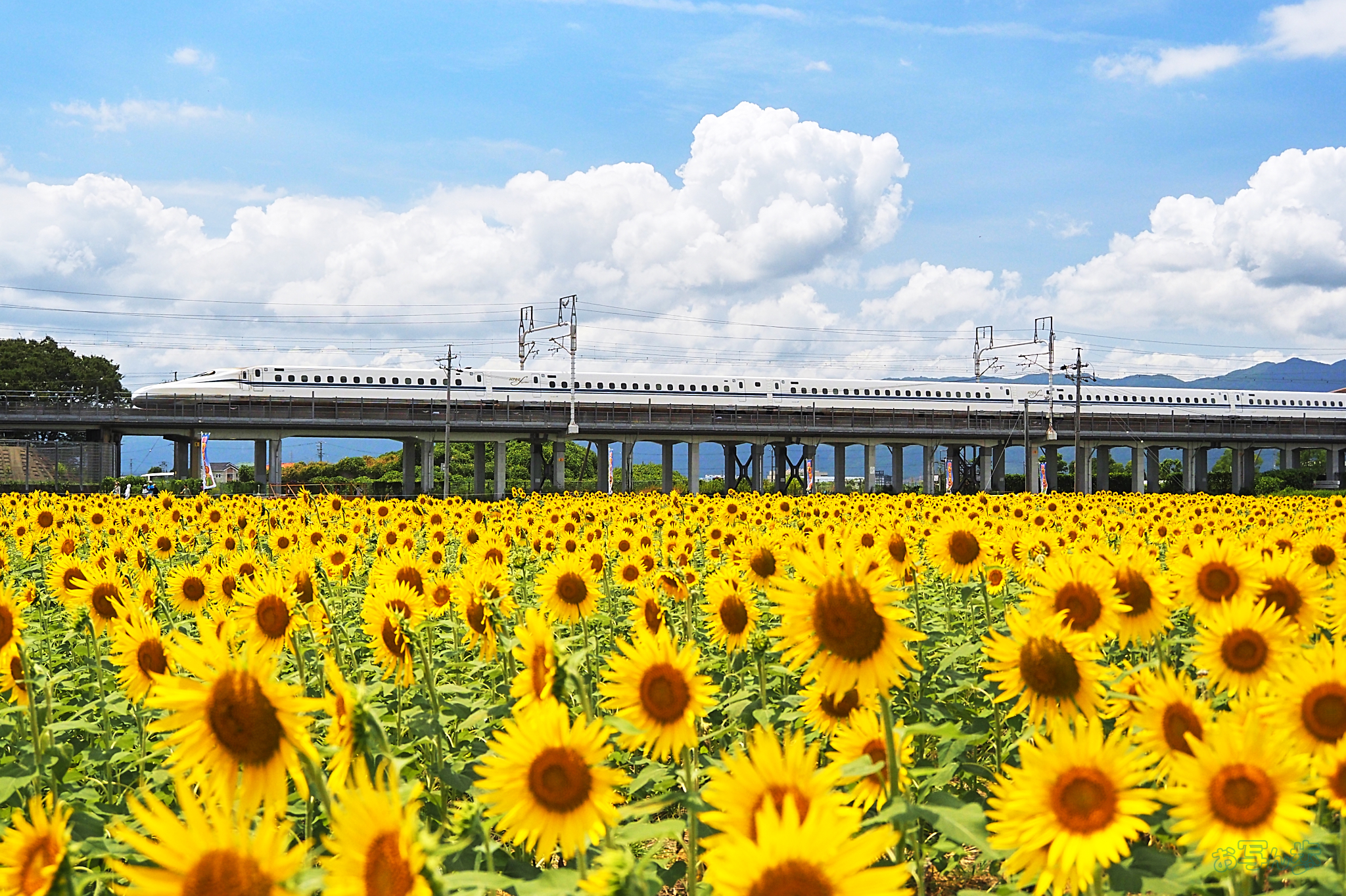 https://www.yaotomi.co.jp/blog/walk/P8080434%2CF4%2C1-2000%20%E7%A7%92%2Ciso400_OM%2012-45mm%20F4.0%20%20%20%20%20%20%20%20%20%20%20%20%20%20%20%20%20.jpg