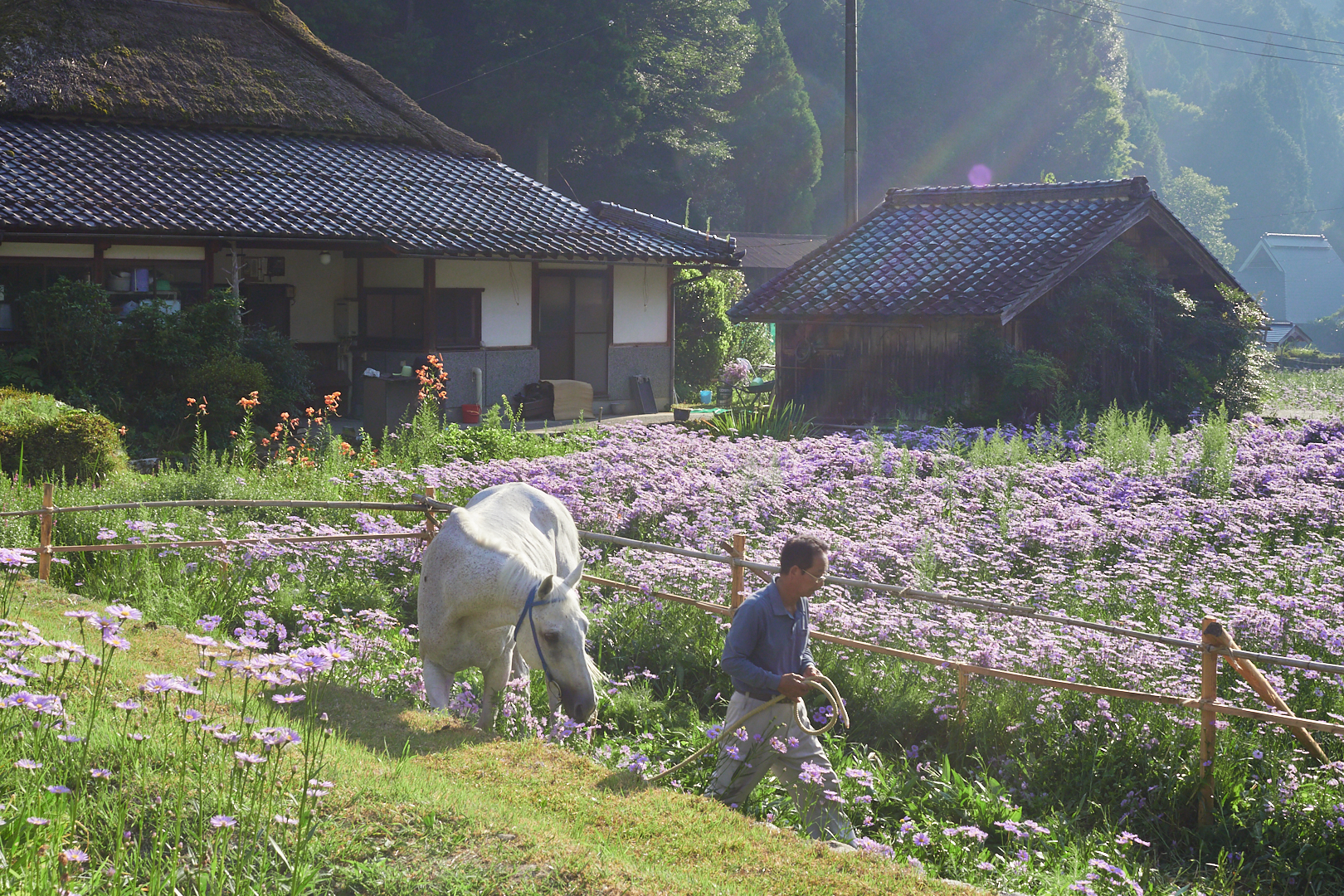 https://www.yaotomi.co.jp/blog/walk/P8101342%2C24%20mm%2CF9%2Ciso200.jpg