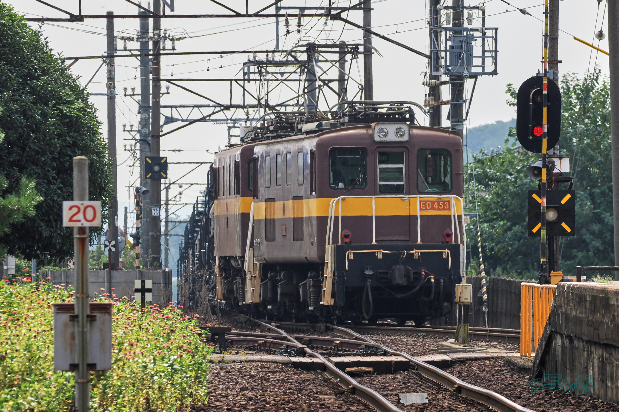 https://www.yaotomi.co.jp/blog/walk/P9171007co%2C236%20mm%2CF8%2Ciso400%28JPEG%29.jpg
