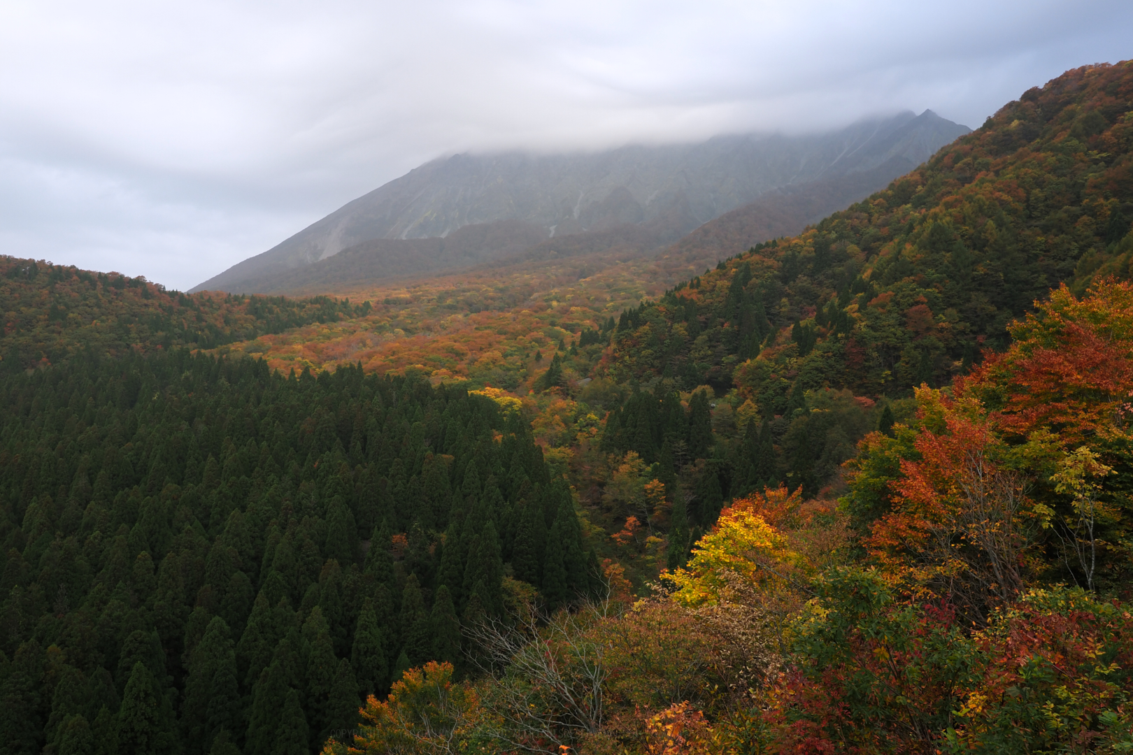 https://www.yaotomi.co.jp/blog/walk/PA300054%2C14%20mm%2CF8%2Ciso200.jpg