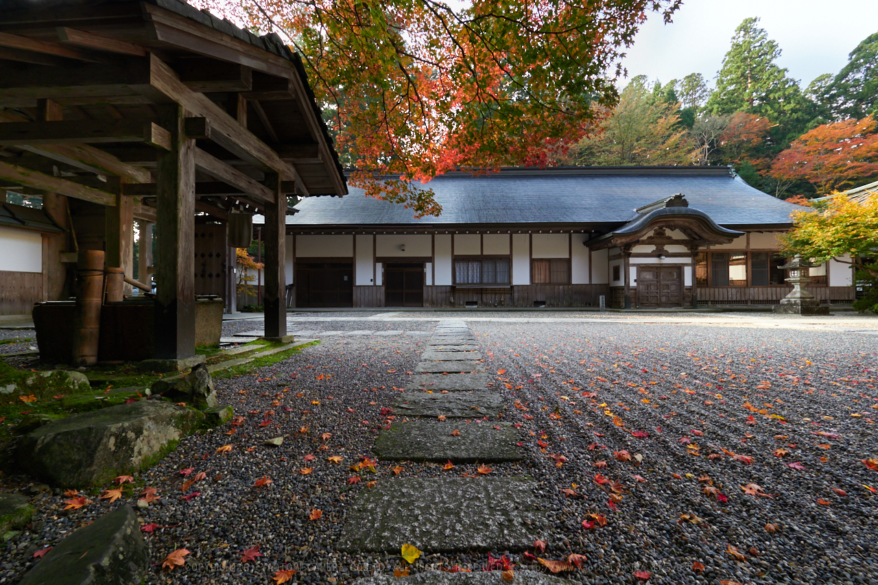 https://www.yaotomi.co.jp/blog/walk/PB040265%2C7%20mm8_yaotomi.jpg