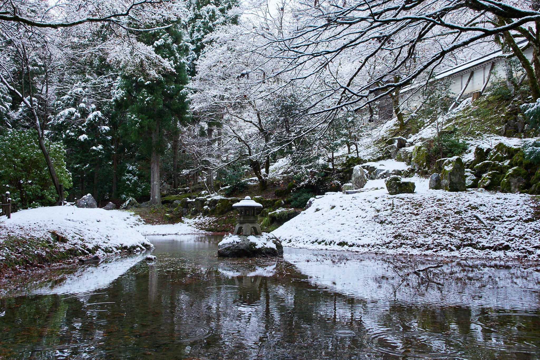 https://www.yaotomi.co.jp/blog/walk/PC090047%2C17%20mm6.3_yaotomi%201.jpg