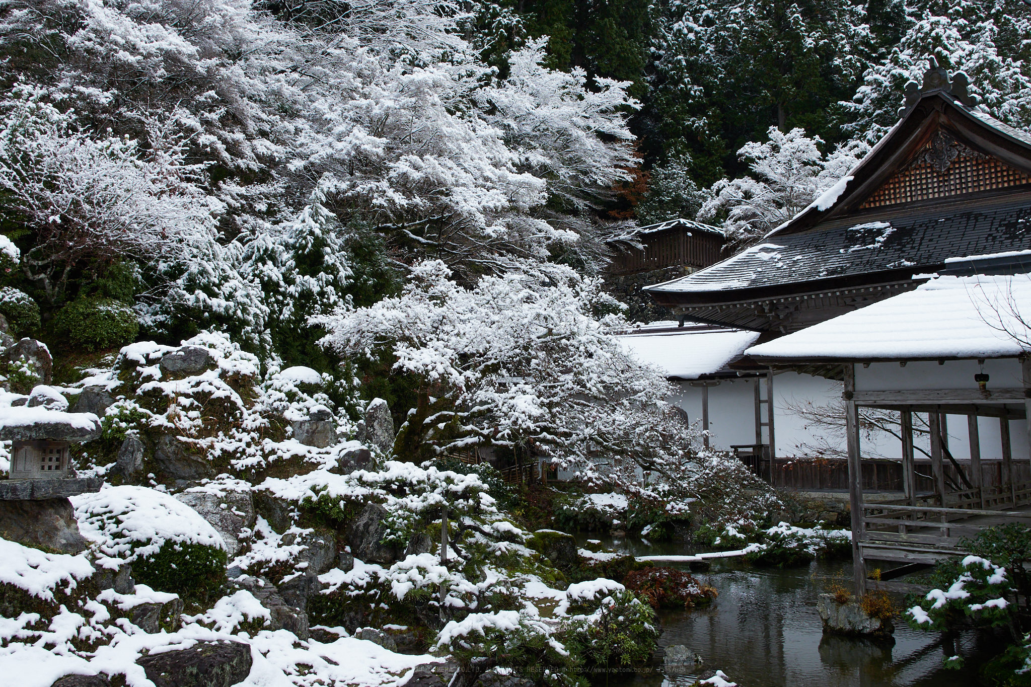 https://www.yaotomi.co.jp/blog/walk/PC090058%2C17%20mm7.1_yaotomi%201.jpg