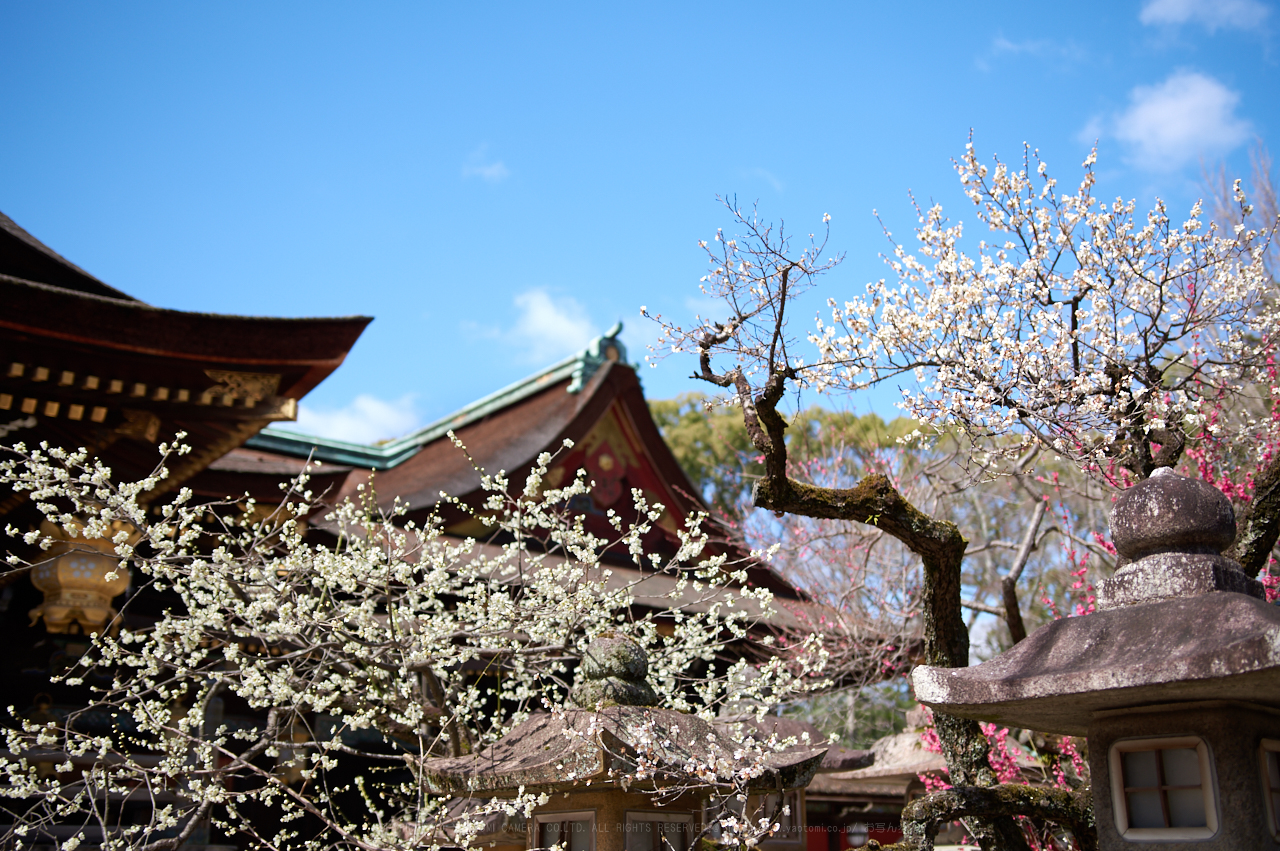 https://www.yaotomi.co.jp/blog/walk/PKP_6659_26%20mm_F1.8_2018yaotomi.jpg