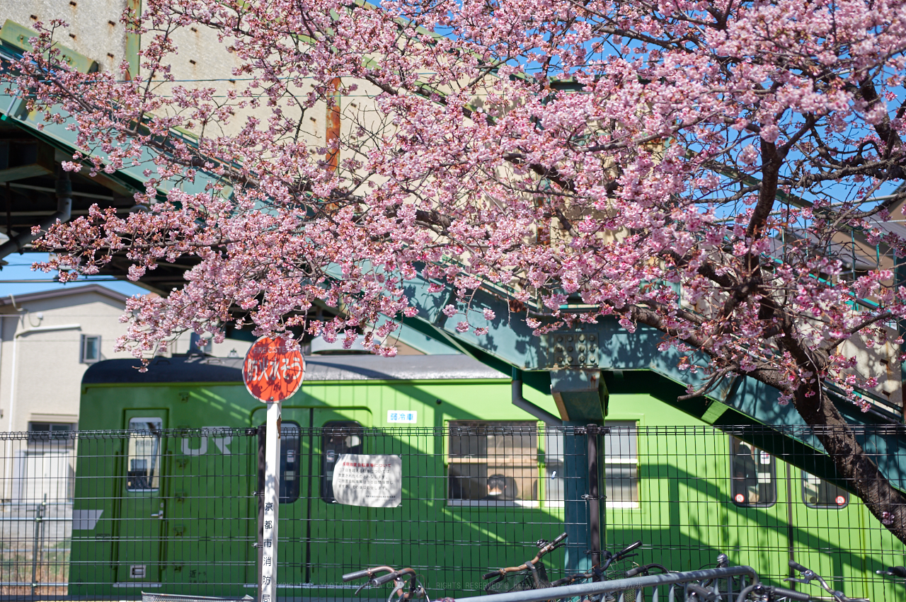 https://www.yaotomi.co.jp/blog/walk/PKP_6671_35%20mm_F1.8_2018yaotomi%201.jpg