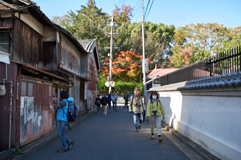 PKP_7187_21 mm(F3.2)iso100_2018yaotomi (2).jpg