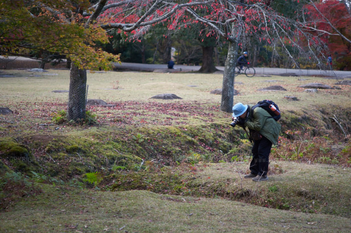 https://www.yaotomi.co.jp/blog/walk/PKP_7206_70%20mm%28F2.4%29iso100_2018yaotomi.jpg