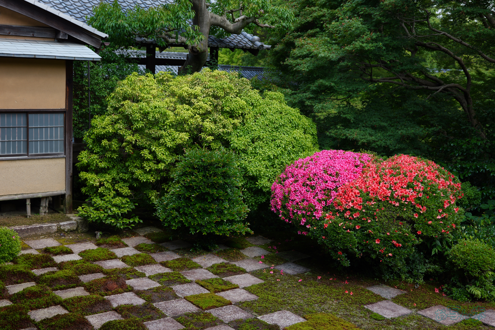 https://www.yaotomi.co.jp/blog/walk/PS120220%2C43%20mm%2CF2.8%2C1-640%20%E7%A7%92%2Ciso100%28JPEG%29.jpg