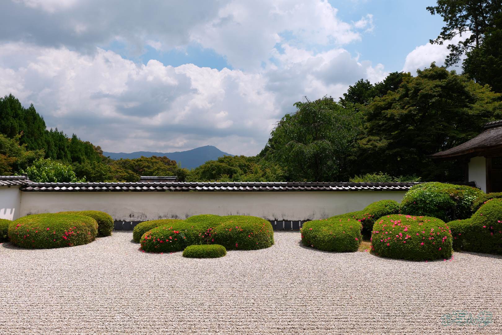 https://www.yaotomi.co.jp/blog/walk/PS120518%2C24%20mm%2CF8%2C1-400%20%E7%A7%92%2Ciso100%28JPEG%29.jpg