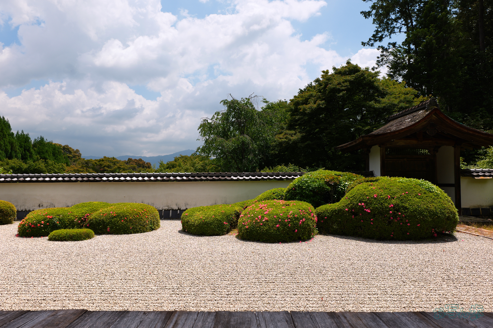 https://www.yaotomi.co.jp/blog/walk/PS120561%2C24%20mm%2CF10%2C1-200%20%E7%A7%92%2Ciso100%28JPEG%29.jpg