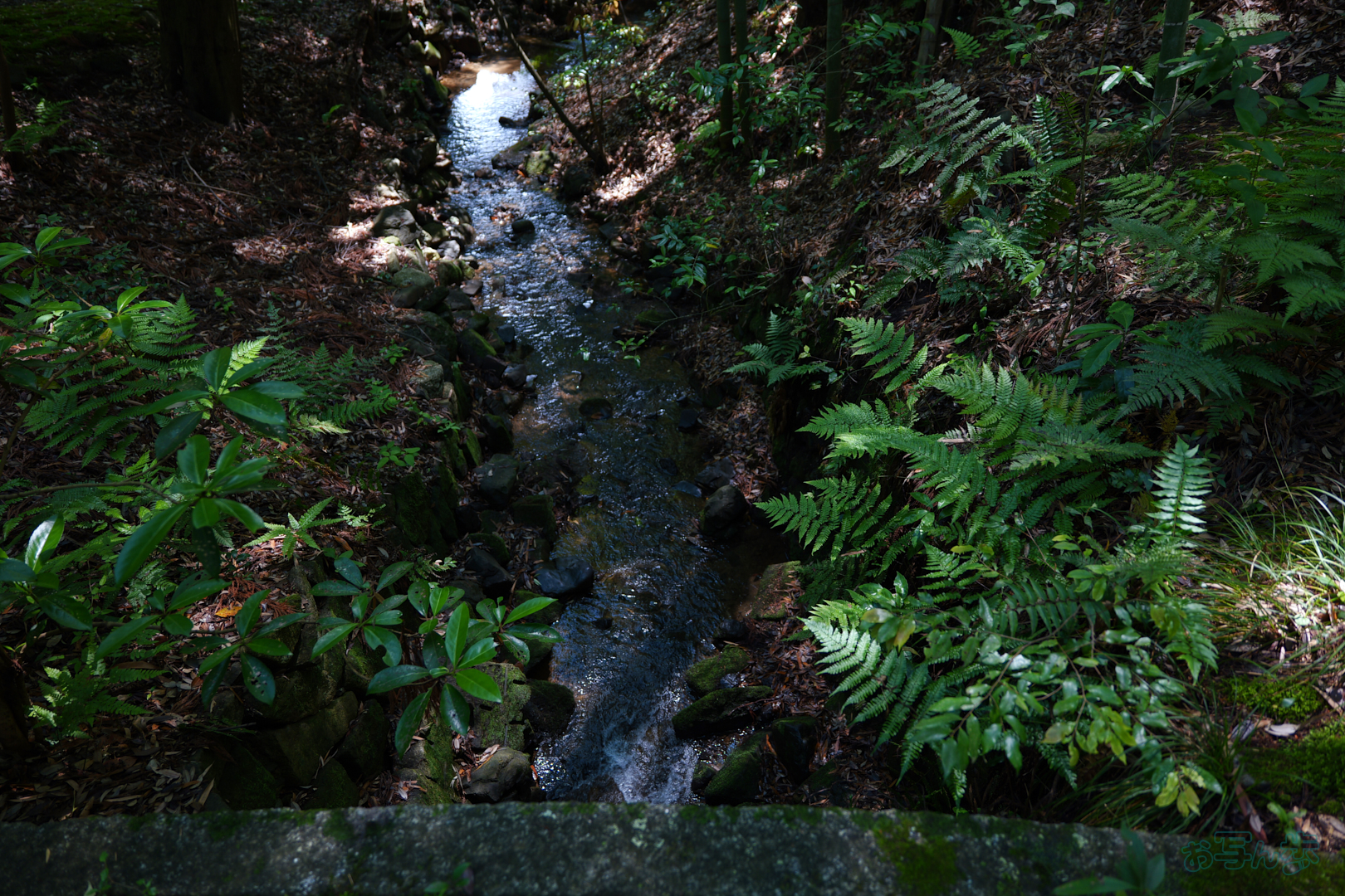 https://www.yaotomi.co.jp/blog/walk/PS120684%2C24%20mm%2CF2.8%2C1-80%20%E7%A7%92%2Ciso100%28JPEG%29.jpg